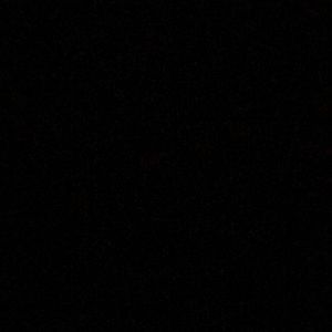 Meet your Posher, Denton